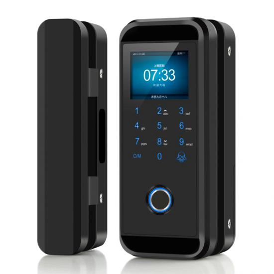 Xitoy ACM-S700 Biometrik barmoq izi shisha eshik qulflari ramkali shisha eshik uchun ishlab chiqaruvchi