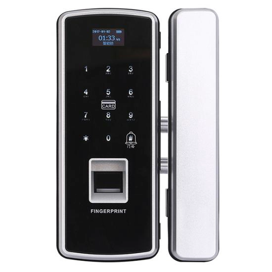 Xitoy Barmoq izi Smart Lock Password Eshikka kirishni boshqarish tizimi ishlab chiqaruvchi