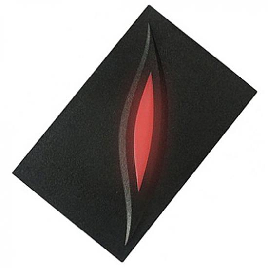 Rfid Proximity Reader For Doors