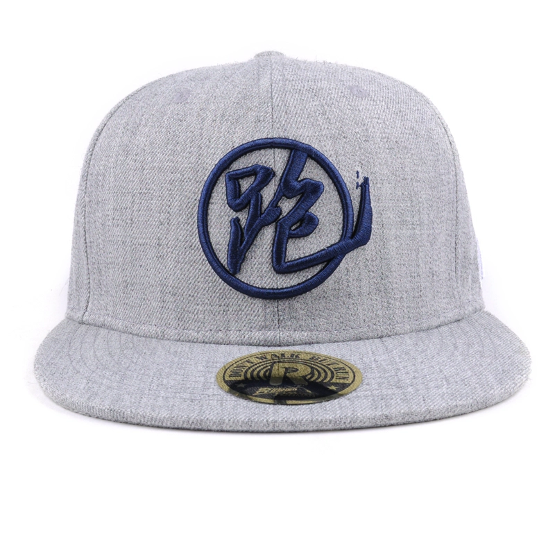 3d embroidery snapback caps