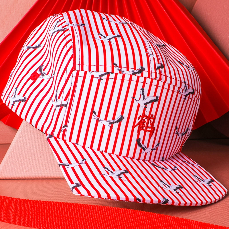 flat brim 5 panels caps custom