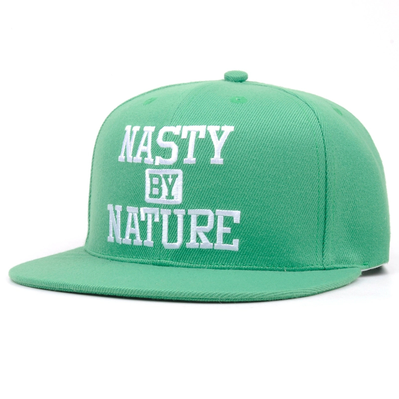 3d embroidery snapback cap