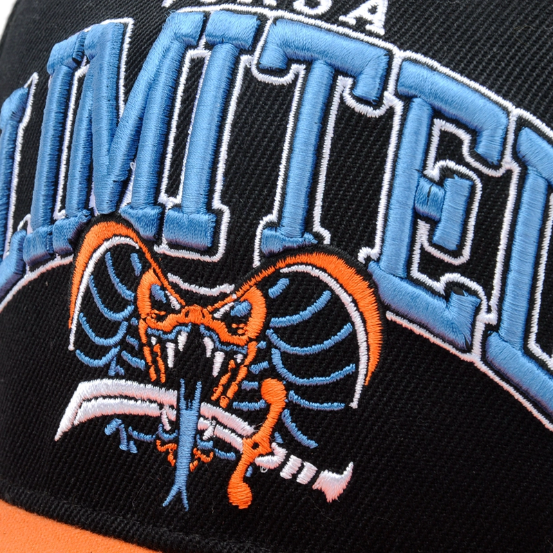 Custom 6 Panel 2 Tone 3D Embroidered Snapback Hat