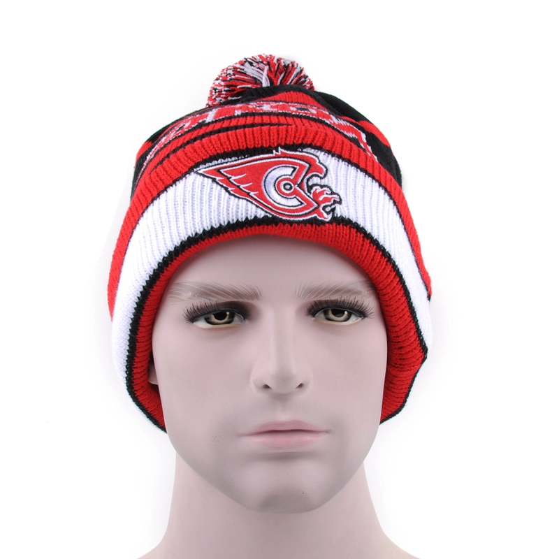 beanie hat with custom label, embroidery beanie hat, beanie knitted hat wholesales