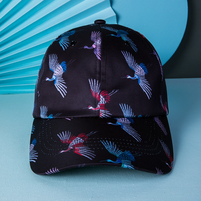embroidery black baseball cap