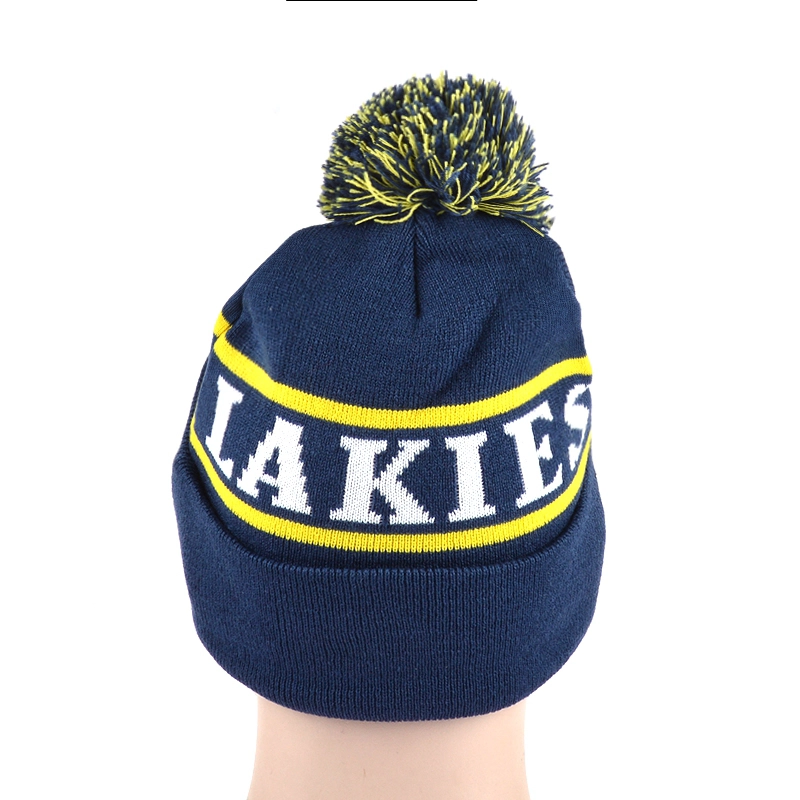 Knit Wamr Beanie Winter Hat