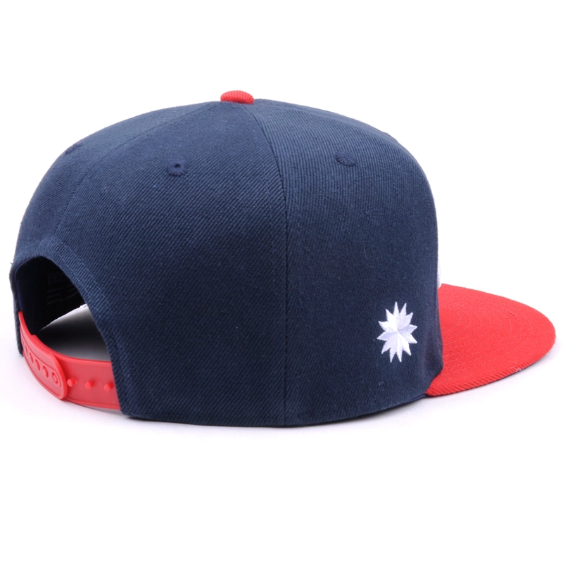 design logo Snapback embroidery hats