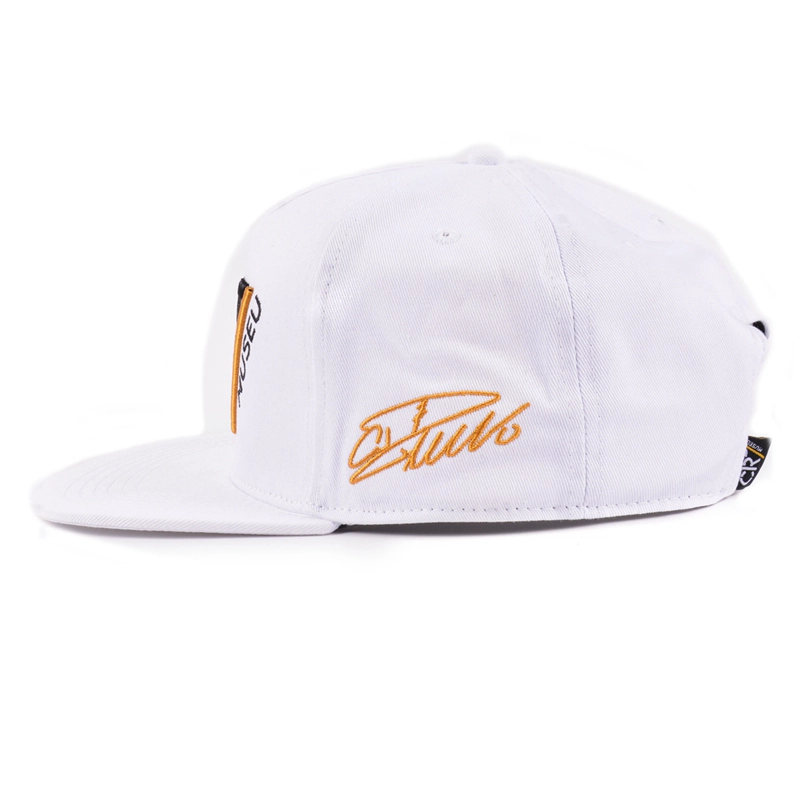 embroidery snapback hats, custom embroidery snapback cap with logo, plain snapback cap wholesale china