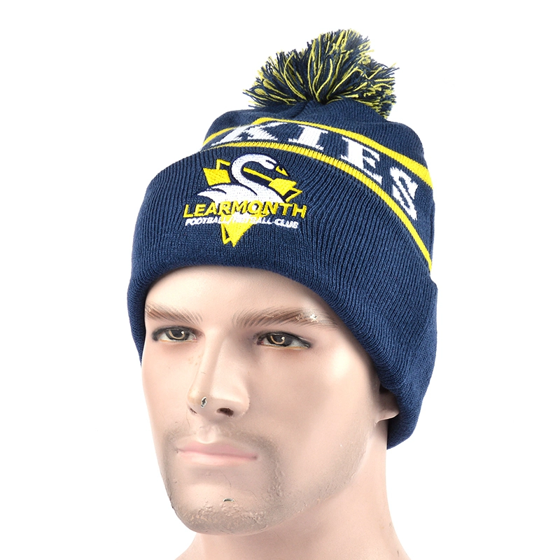 Knit Wamr Beanie Winter Hat