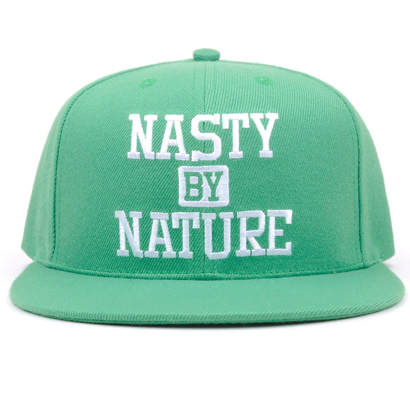3d embroidery snapback cap
