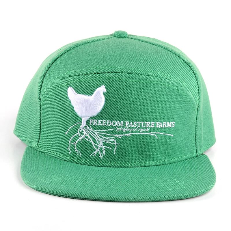 embroidery 6 panels snapback caps