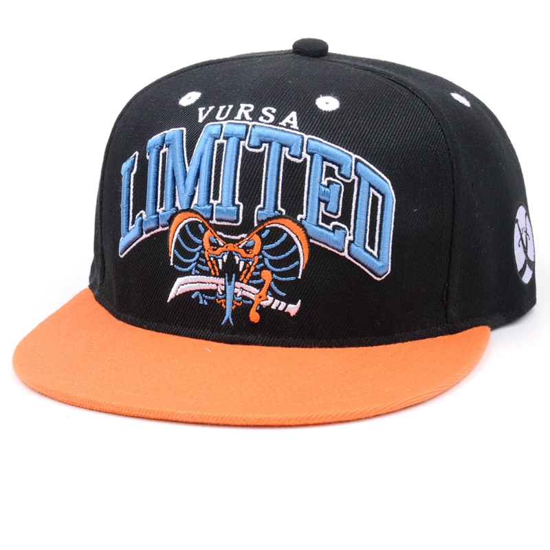 Custom 6 Panel 2 Tone 3D Embroidered Snapback Hat