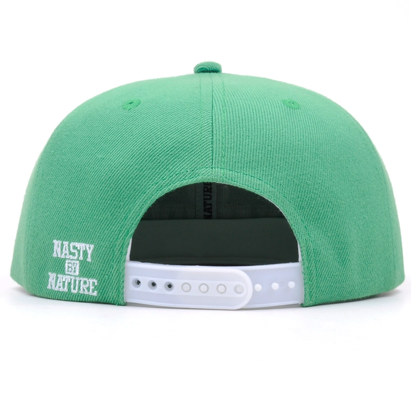 3d embroidery snapback cap