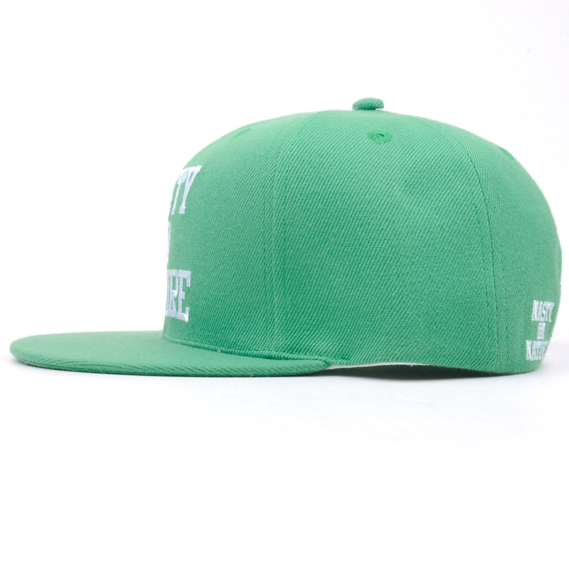 3d embroidery snapback cap