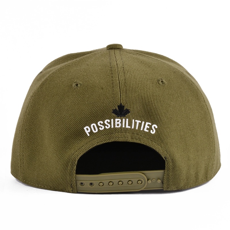 6 Panel Snapback Cap, benutzerdefinierte Stickerei Snapback Cap