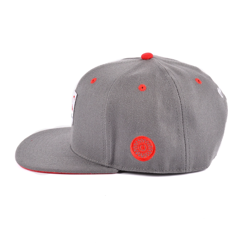 6 καπάκι snapback panel στην γραμμή