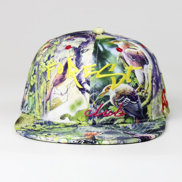 قبعات SNAPBACK رخيصة، وقبعات SNAPBACK