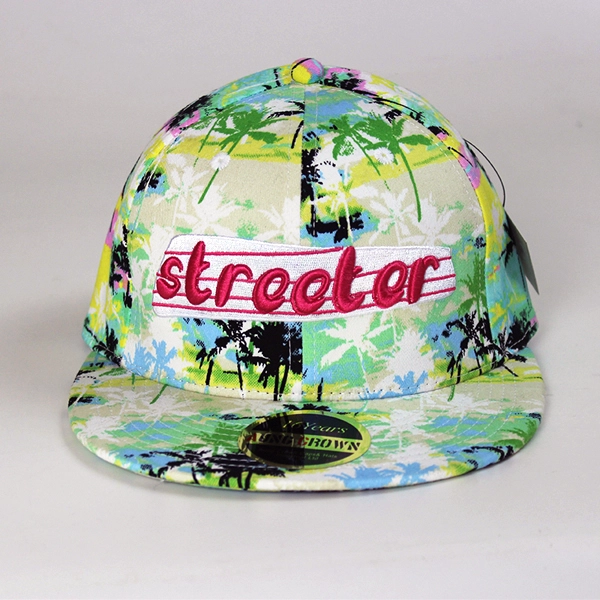I nomi di marca 3D Cappellino con logo