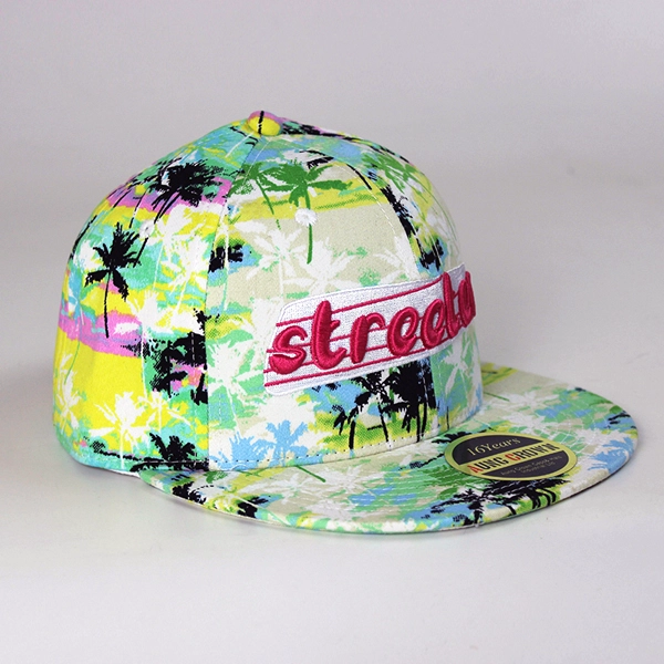 I nomi di marca 3D Cappellino con logo