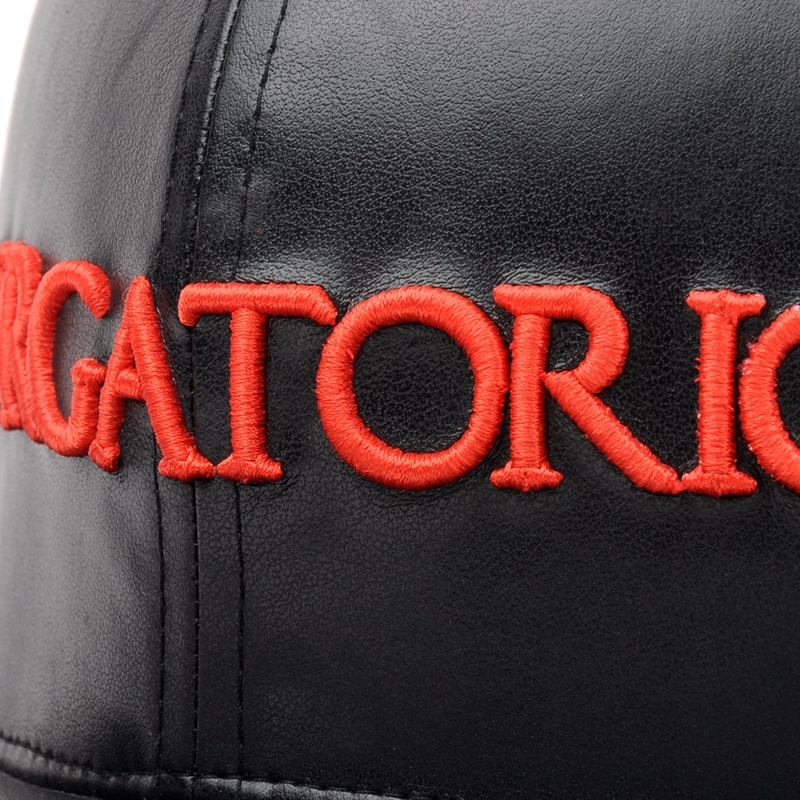Benutzerdefinierte Leder Snapback Cap / Mütze