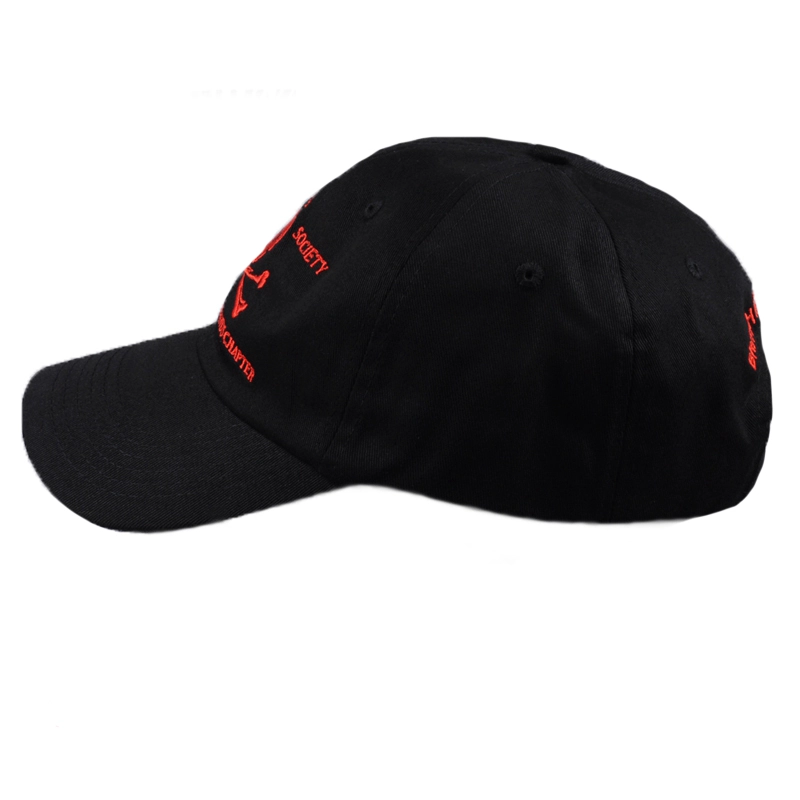 Spezielle Muster Custom Your Own Logo Baseball Cap mit Leder-Patch