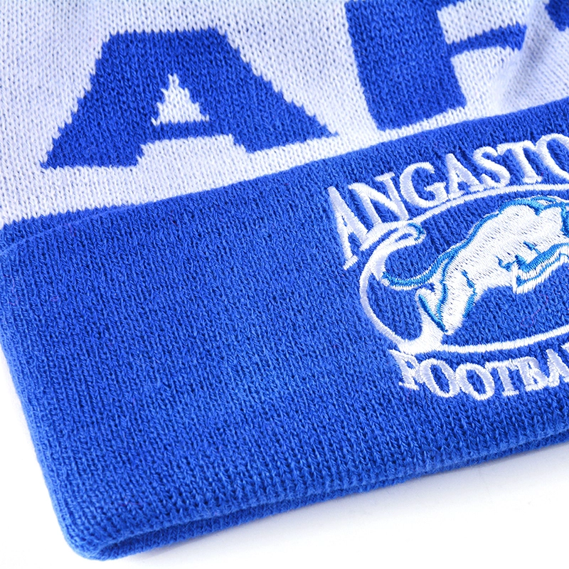 china custom beanie hat with pom,best beanies for winter