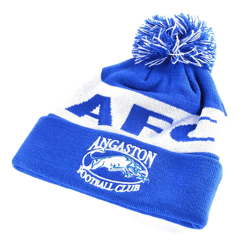 china custom beanie hat with pom,best beanies for winter