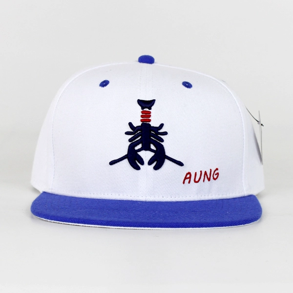 Custom Flat Bill SnapBack Mütze, Custom Stickerei SnapBack Cap