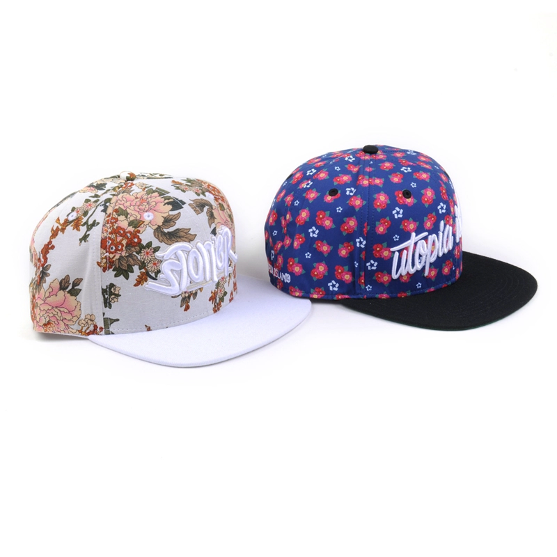 تصميم شعار 6 لوحات الطباعة النسيج snapback القبعات القبعات التطريز 3d