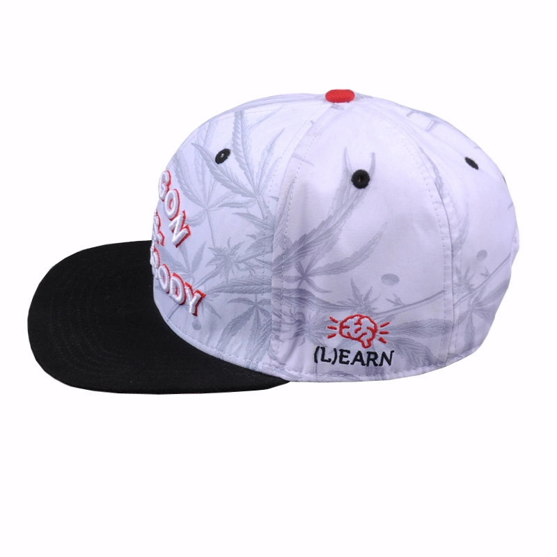 καπέλα snapback κεντήματος, καπέλα snapback hip-hop