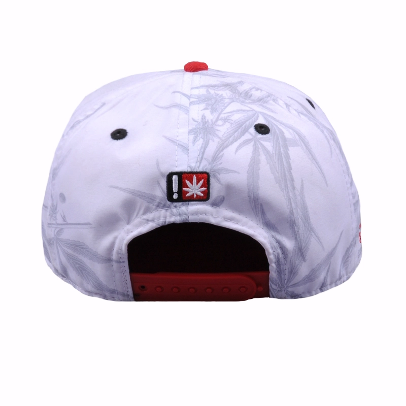 καπέλα snapback κεντήματος, καπέλα snapback hip-hop
