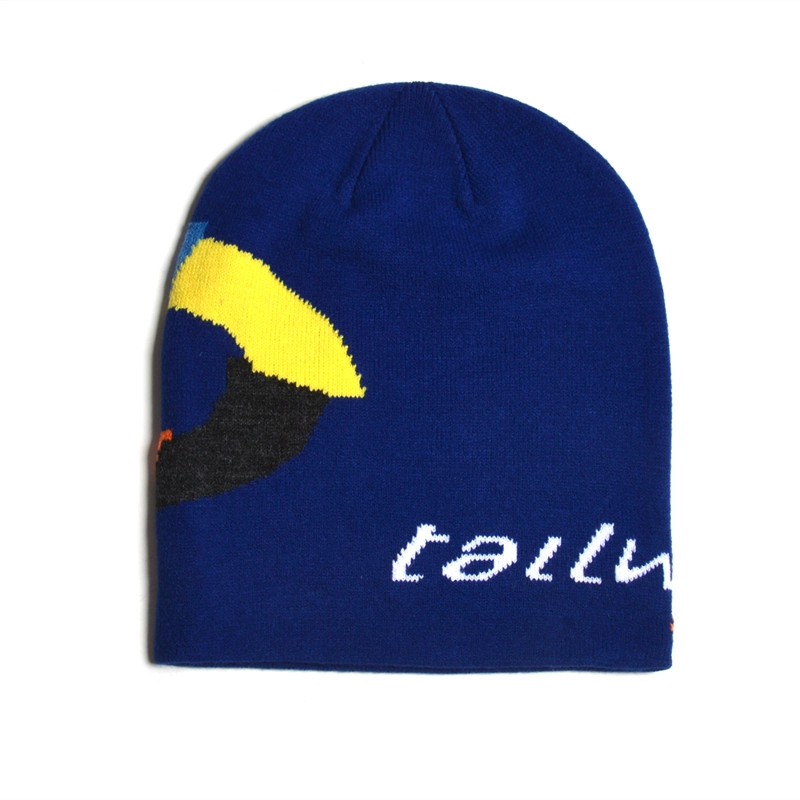 cappelli invernali di moda, i cappelli invernali di marche popolari