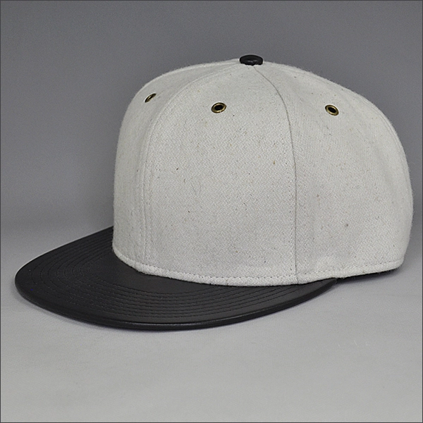 عادي سقف SNAPBACK وقبعة