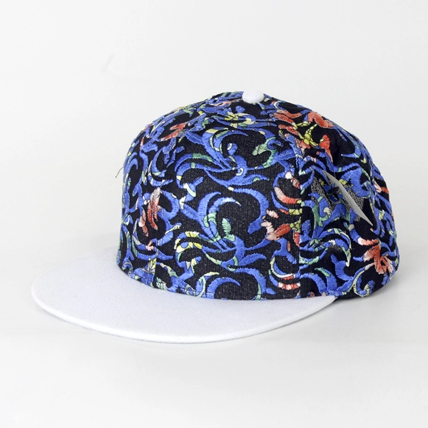 snapback caps sin logo / no logo