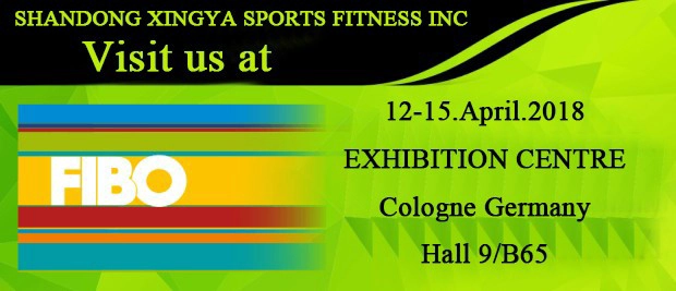 FIBO