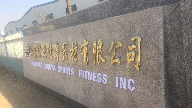 wholesale pu dumbbell supplier