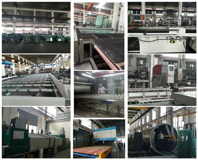 tempered laminated glass supplier