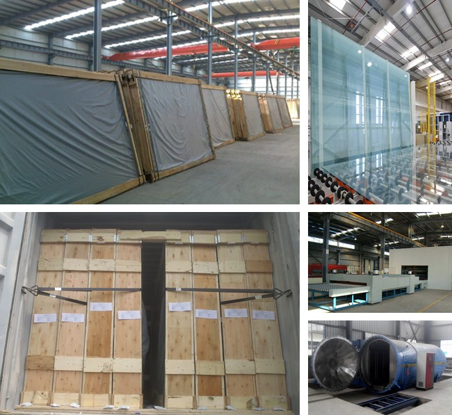 441 color float laminated glass manufacturer