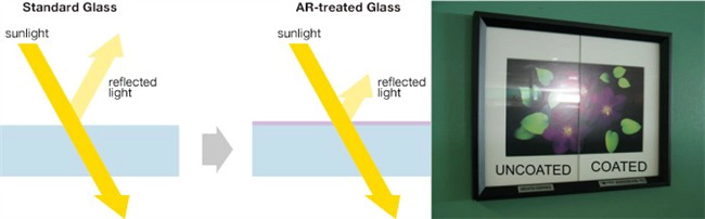 clear float glass and anti-reflective glass