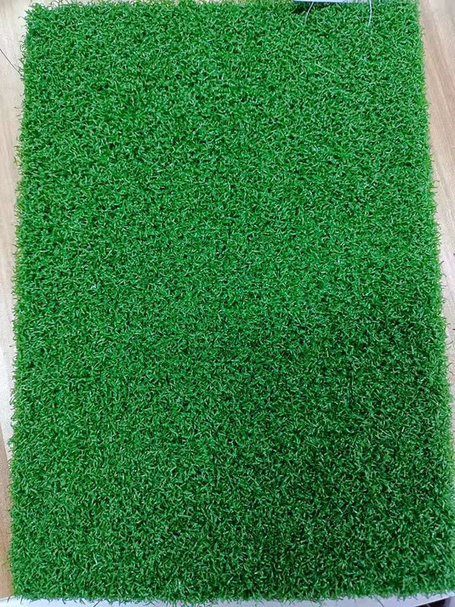 turf grass