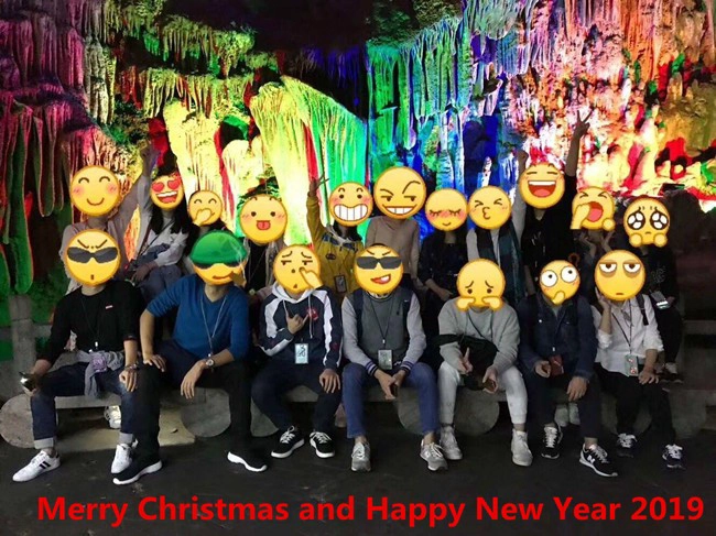 New year 2019
