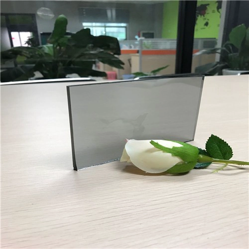 Der beste Preis 5.5mm Euro grau reflektierende Glaslieferant in China