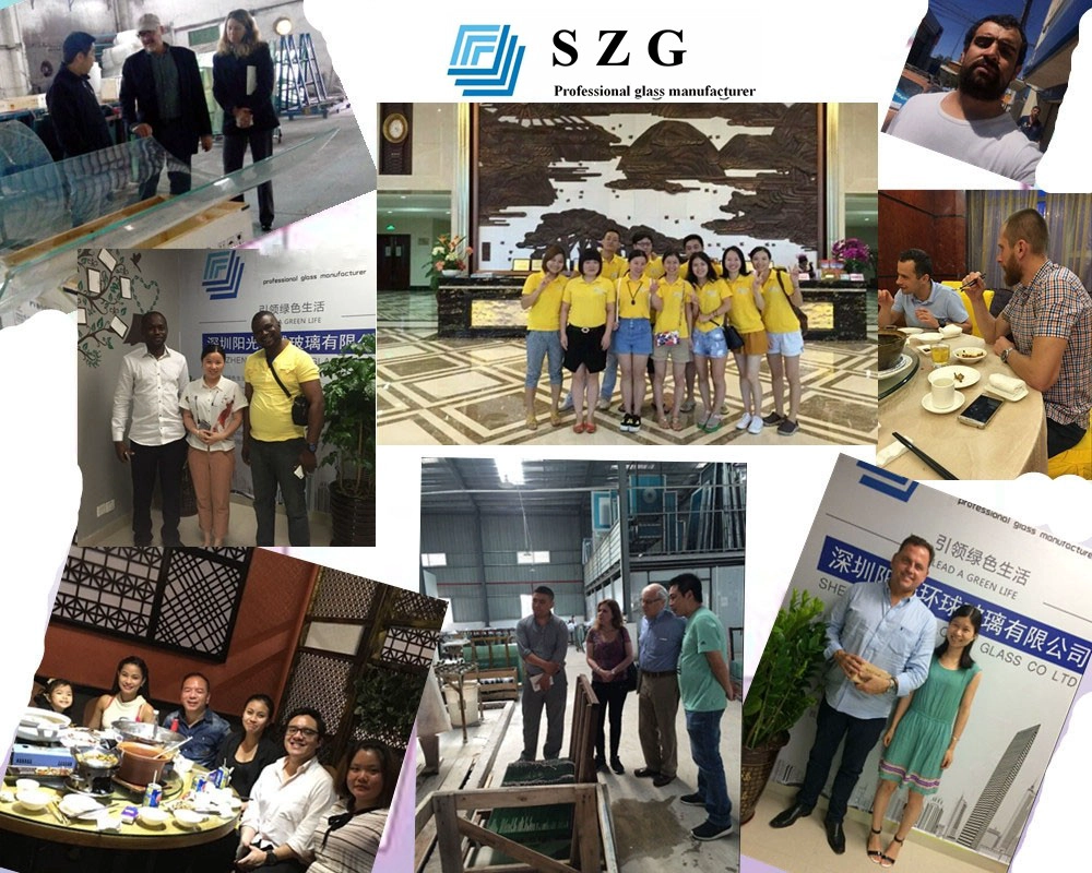 SZG Friends