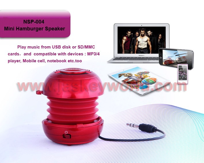 Mini Stereo Speakers