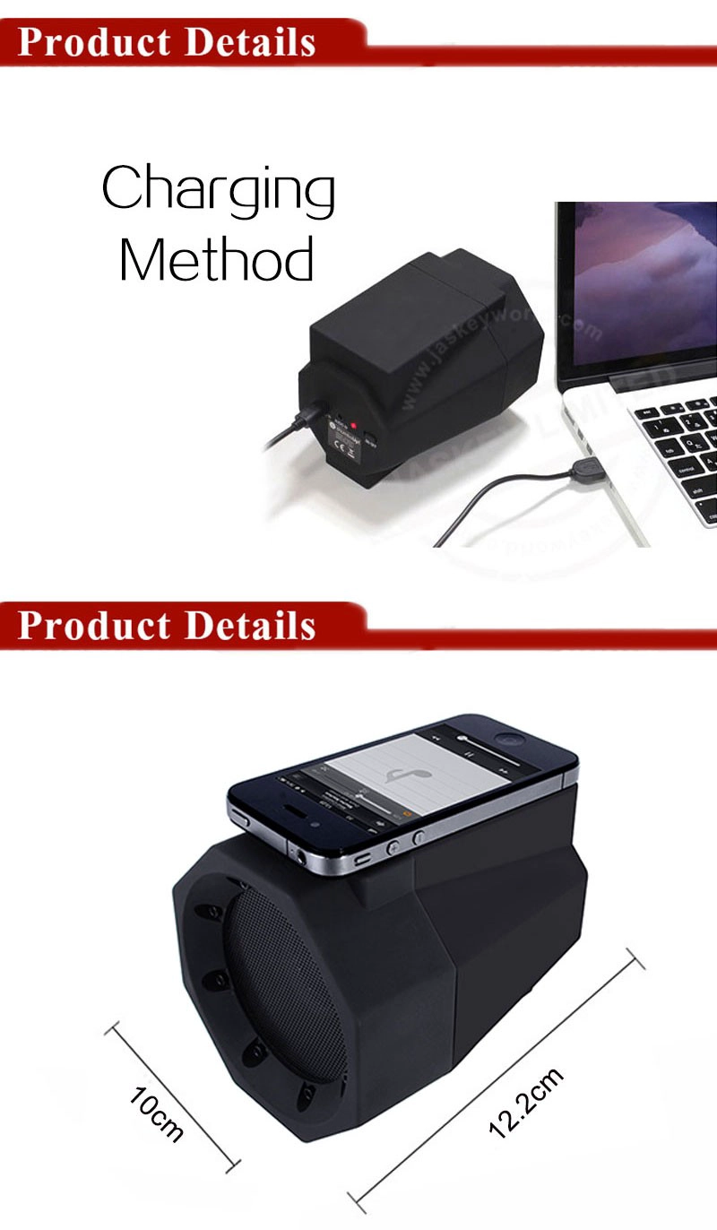 Portable Speaker System