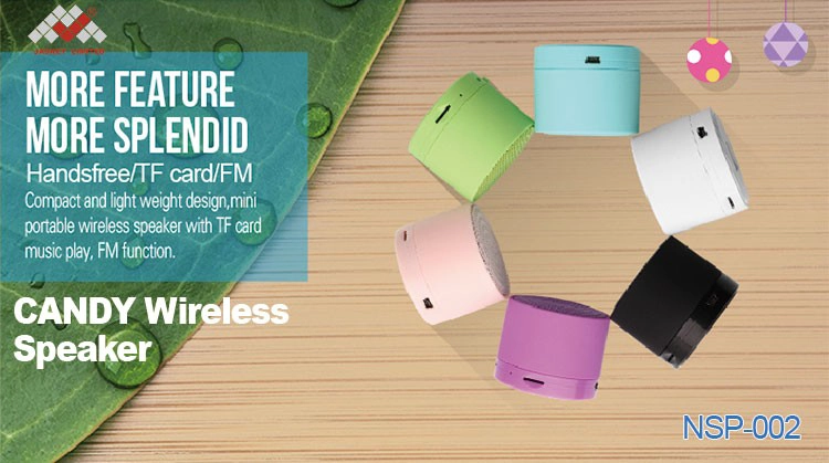 Bluetooth Stereo Speakers