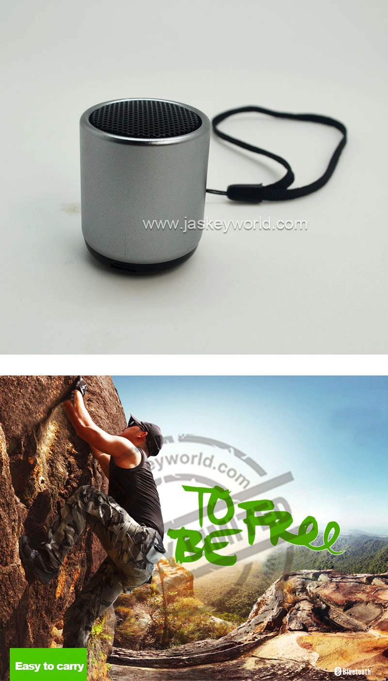 Best Small Bluetooth Speaker