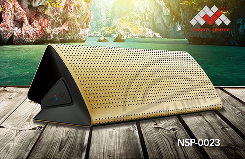 Portable Party Speakers