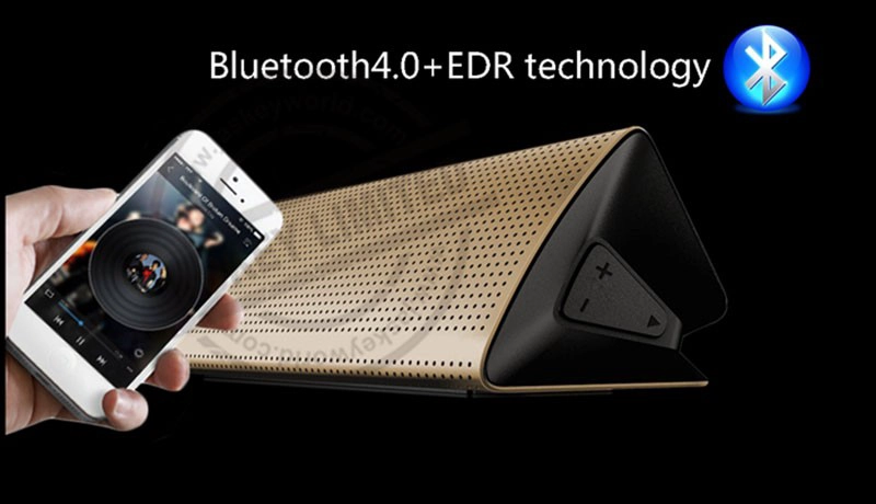 Portable Party Speakers