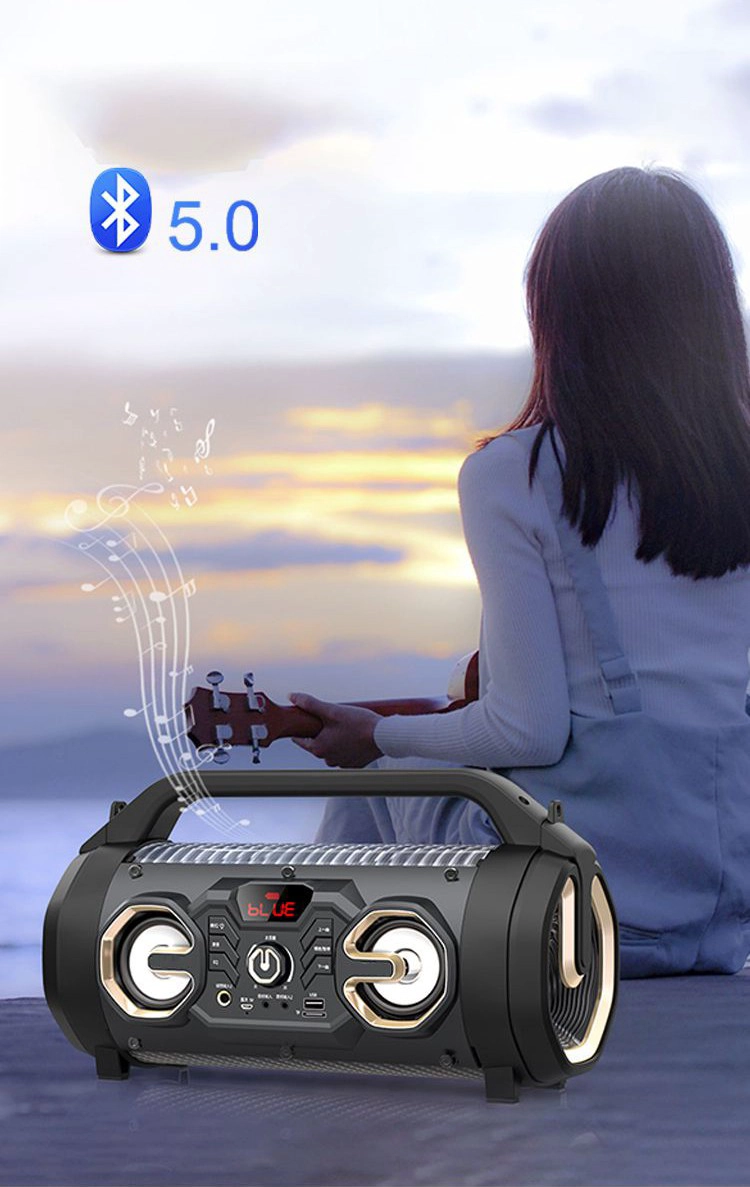 Wireless Outdoor Speaker